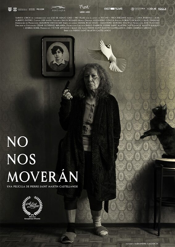 77 Muestra Internacional de Cine